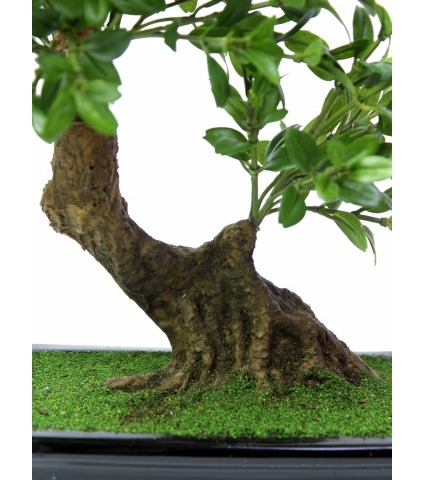 Bonsaï artificiel théier