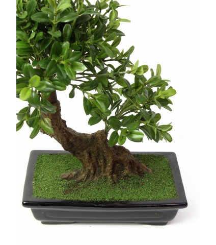 Bonsaï artificiel théier