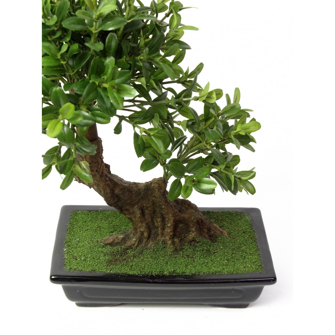 Bonsaï théier artificiel 35 cm Bonsaïs artificiels Artiplantes