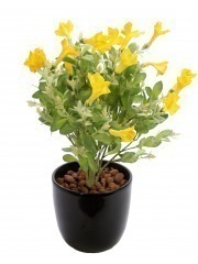 Pétunia artificiel jaune