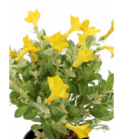 Pétunia artificiel jaune