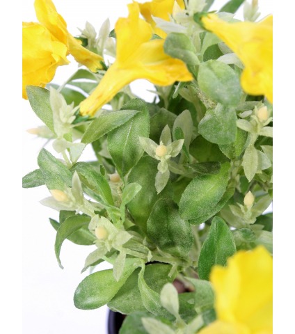 Pétunia artificiel jaune
