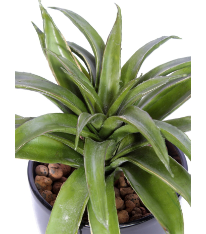 Agave lechuguilla artificiel