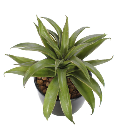 Agave lechuguilla artificiel
