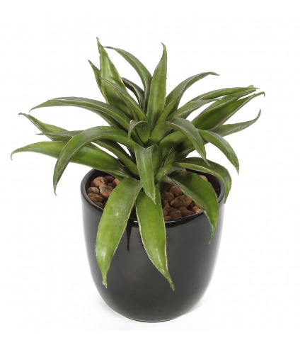 Agave lechuguilla artificiel