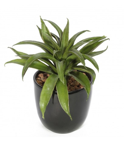 Agave lechuguilla artificiel