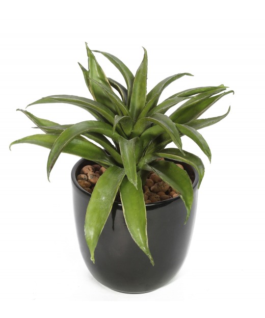 Agave lechuguilla artificiel