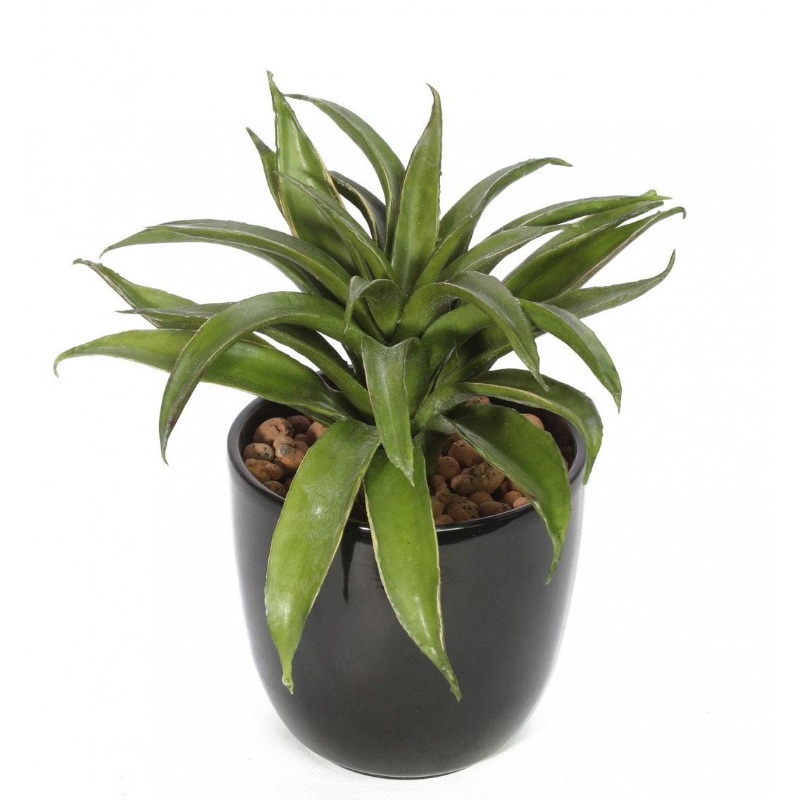 Agave lechuguilla artificiel