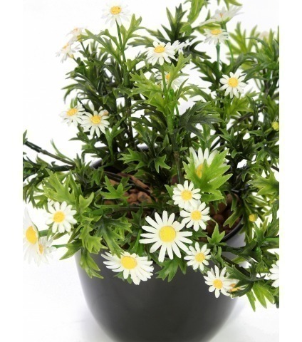 Pied de marguerites artificielles