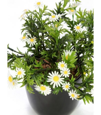 Pied de marguerites artificielles