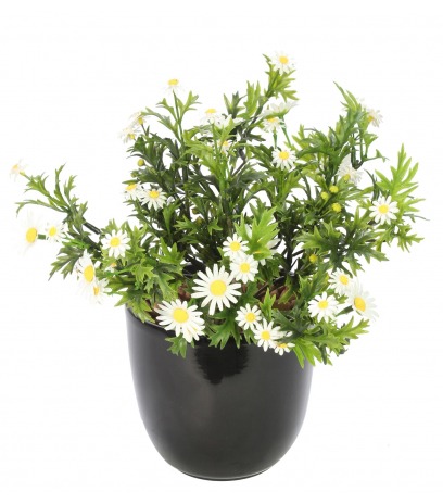 Pied de marguerites artificielles