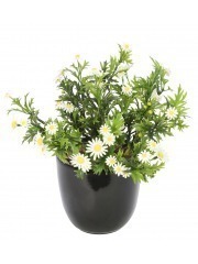 Pied de marguerites artificielles
