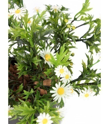 Pied de marguerites artificielles