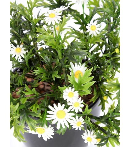 Pied de marguerites artificielles