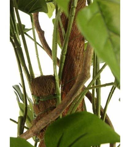Philodendron artificiel grimpant