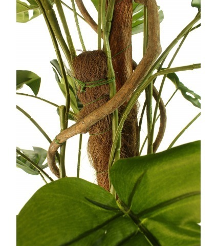 Philodendron artificiel grimpant