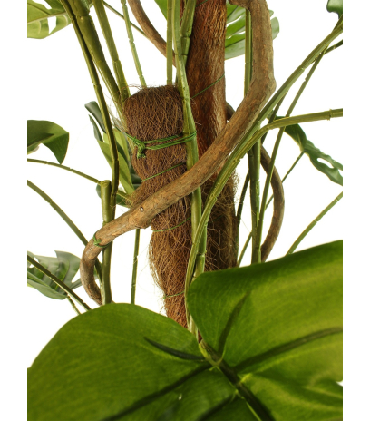 Philodendron artificiel grimpant
