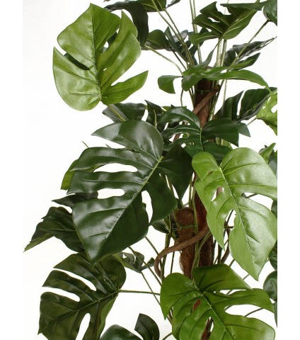 Philodendron artificiel grimpant