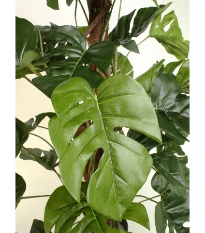 Philodendron artificiel grimpant