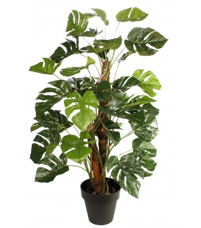 Philodendron artificiel grimpant