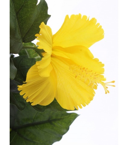 Hibiscus artificiel jaune