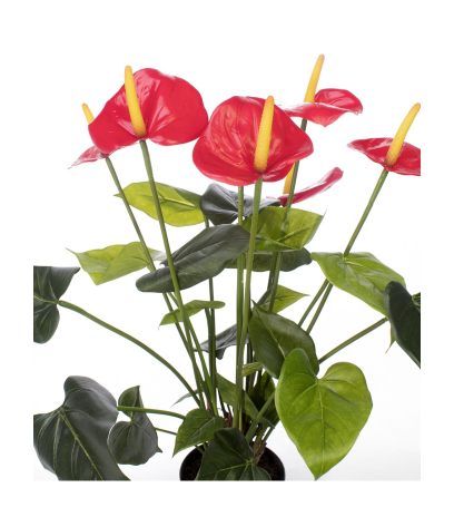 Anthurium artificiel en pot