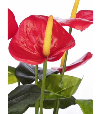 Anthurium artificiel en pot