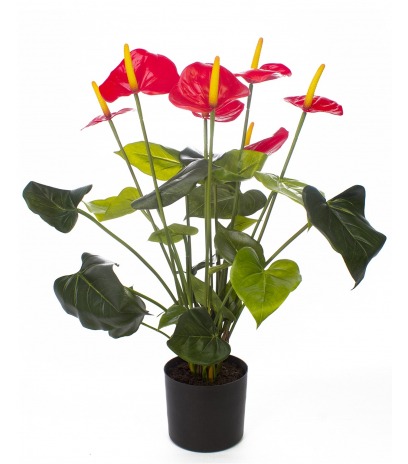 Anthurium artificiel en pot