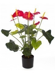 Anthurium artificiel en pot