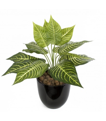 Aphelandra artificiel mini