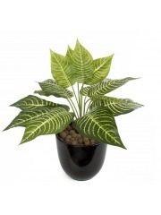 Aphelandra artificiel mini