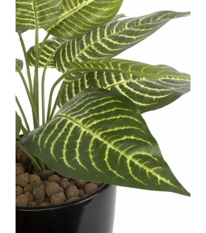 Aphelandra artificiel mini