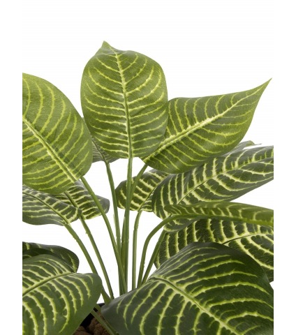 Aphelandra artificiel mini