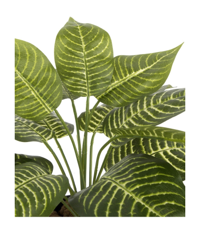 Aphelandra artificiel mini