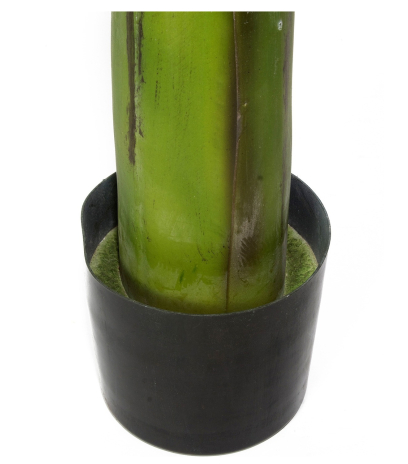 Pot