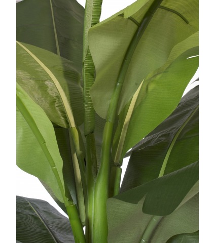 Bananier artificiel vert