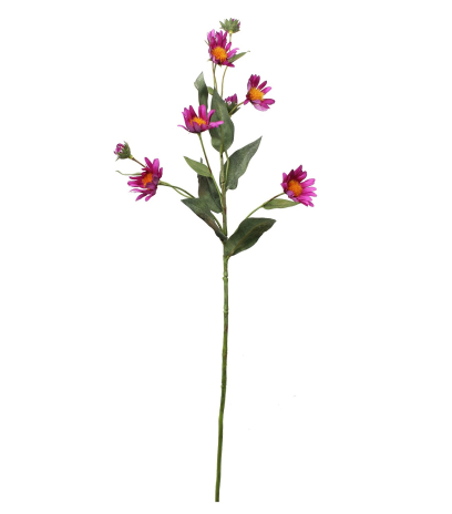 Aster artificiel violet