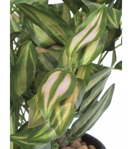 Tradescantia zebrina artificiel