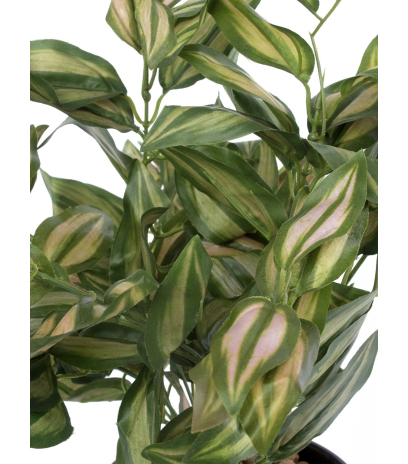 Tradescantia zebrina artificiel