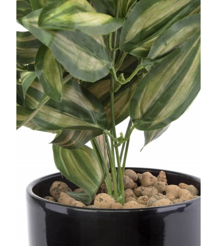 Tradescantia zebrina artificiel