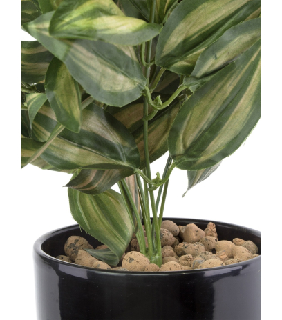 Tradescantia zebrina artificiel