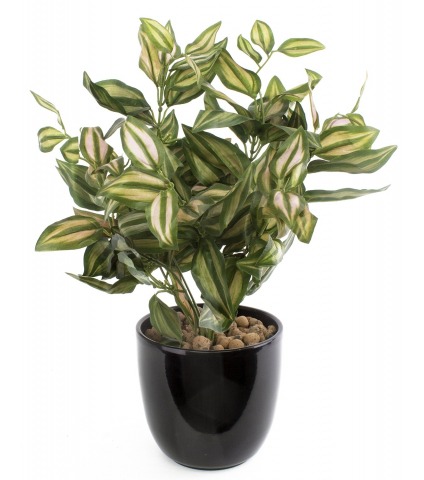 Tradescantia zebrina artificiel