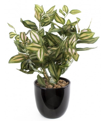 Tradescantia zebrina artificiel