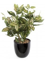 Tradescantia zebrina artificiel