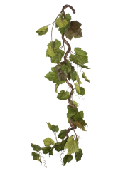 Branche de vigne tortueuse