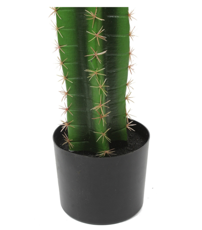 Pot