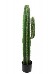Cactus candélabre artificiel