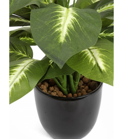 Dieffenbachia camilla artificiel