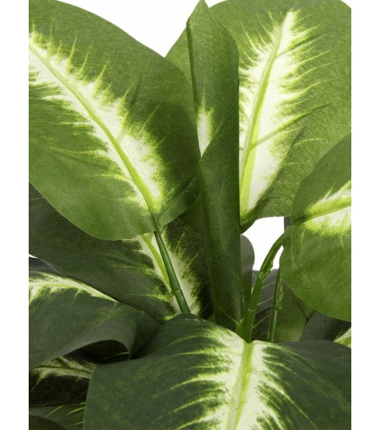 Dieffenbachia camilla artificiel