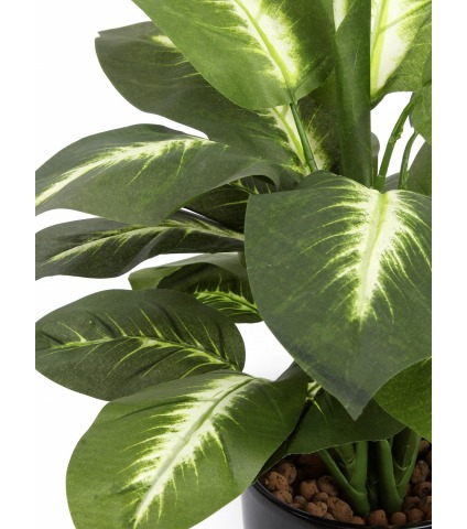 Dieffenbachia camilla artificiel